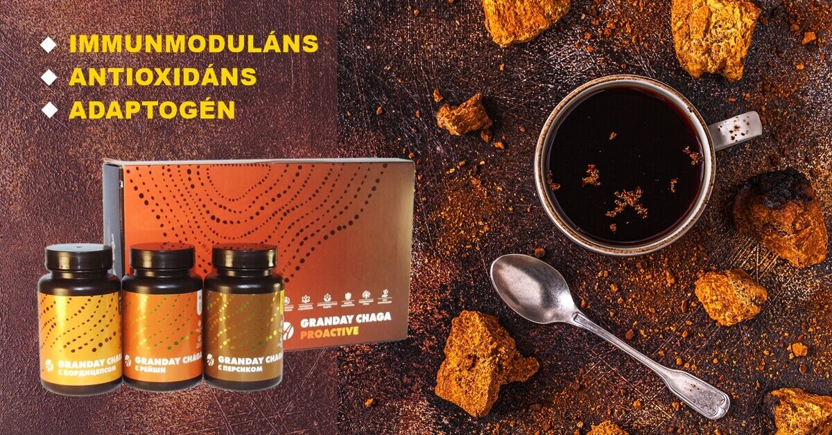 Granday Chaga: immunerősítő, adaptogén és antioxidáns hatóanyagok komplex keveréke